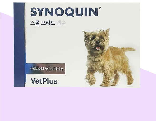 [벳플러스] 사이노퀸 스몰브리드 소형견 30캡슐, 1개, 뼈/관절강화, 30회분 - 쿠팡