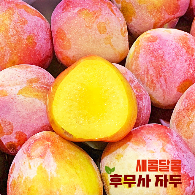 [재구매1등]허니삼구 당도선별 특품 고당도 꿀 자두, 1박스, 2.5kg