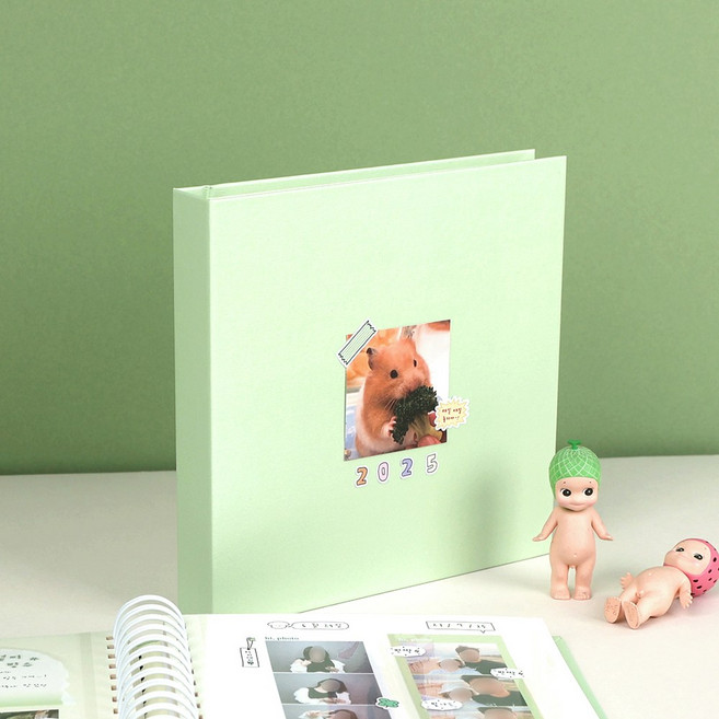국내제작 하이데이 접착식 네컷 앨범 사진 포토북 세트, 라이트 그린