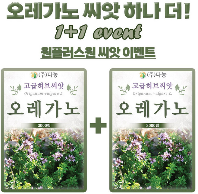 오레가노 허브씨앗 3000립 1+1 박하향 허브씨 종자, 1세트