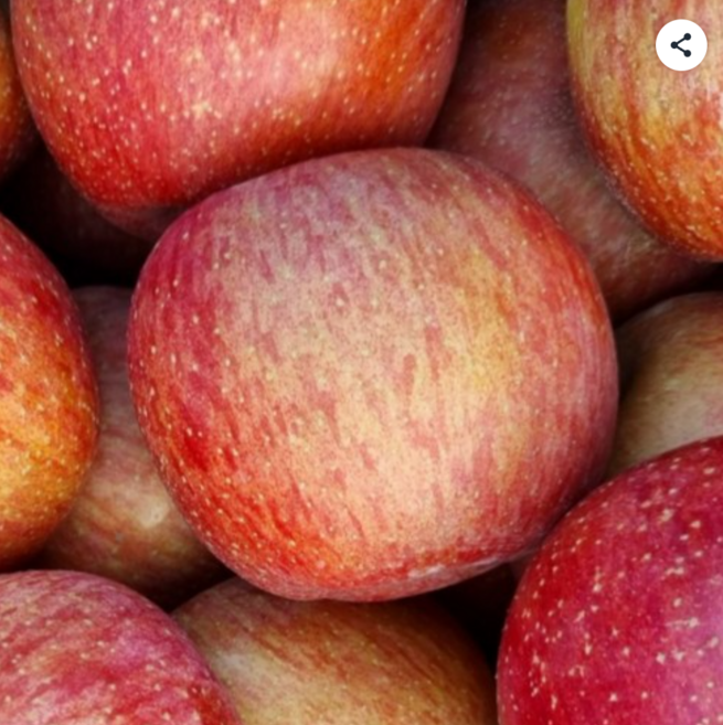 경북사과 청송 문경 안동 부사 사과, 1개, 3kg(부사 정품 중과)