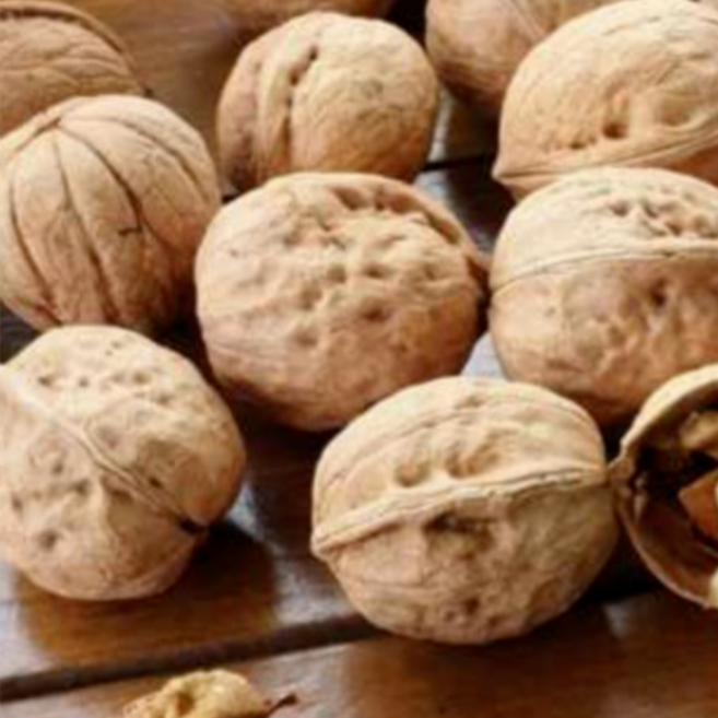 알찬애호두 국산호두 25년 얇은 껍질 신품종 특품 피호두 500g, 1박스