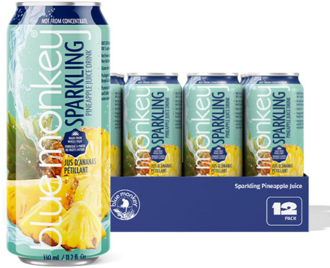 블루몽키 스파클링 파인애플 주스 330ml 12팩, 1개