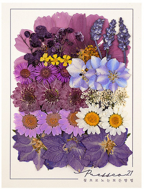 압화꽃 보존화 꽃송이 누름꽃 조화 만들기 압화재료 공예 프레스코21 종합팩 6000A, 7000A