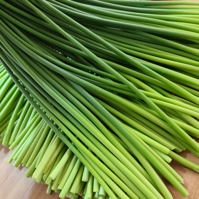 [국내산 남해]햇 마늘쫑 해풍맞아 부드럽고 아삭한 당일수확 산지직송 (특품), 1박스, 1kg