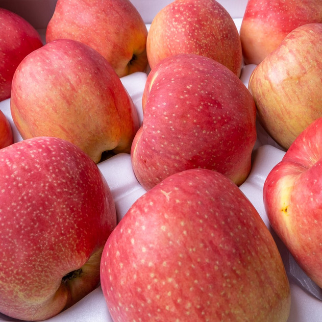 GAP 저탄소 청송 후브락스 부사 사과 산지직송 제철 과일 아삭하고 시원한 사과, 1박스, 3kg 소과 (13-15과)