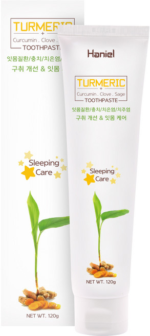 하니엘 울금 잇몸 케어 치약 120g 입냄새 구취 제거, 1개