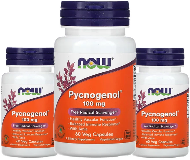 소나무껍질추출물 나우푸땡피크노제놀 인디언구스베리 파이토케미컬 폴리페놀 60캡슐3통, 60정 - 쿠팡