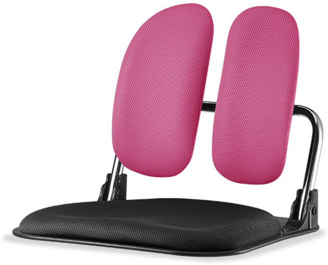 에이플랜체어 [에이플랜체어]D3 접이식 듀얼 좌식의자(DE300), 투톤핑크