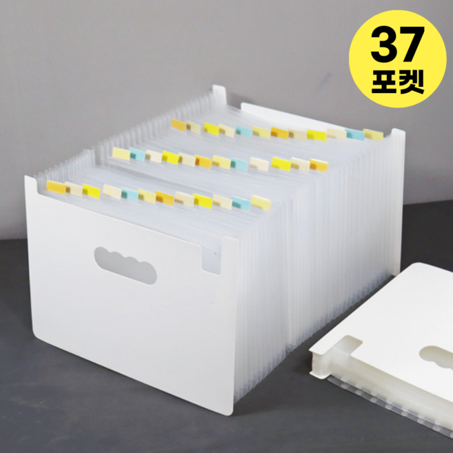 데이모노 프로 아코디언 도큐먼트 파일, 오픈형, 37포켓, 화이트+반투명, 1개