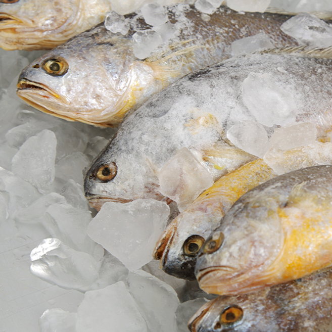 부서조기 특대 3미 30cm 내외 부세조기 소금간 손질조기 제수용생선, 3개, 조기대 25cm이상