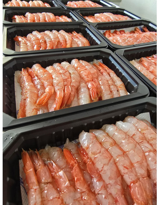 여수 산지직송 직접선별 산지직송 회 횟감 국내산 급랭 달마새우횟감 특대 15마리내외, 1개, 200g