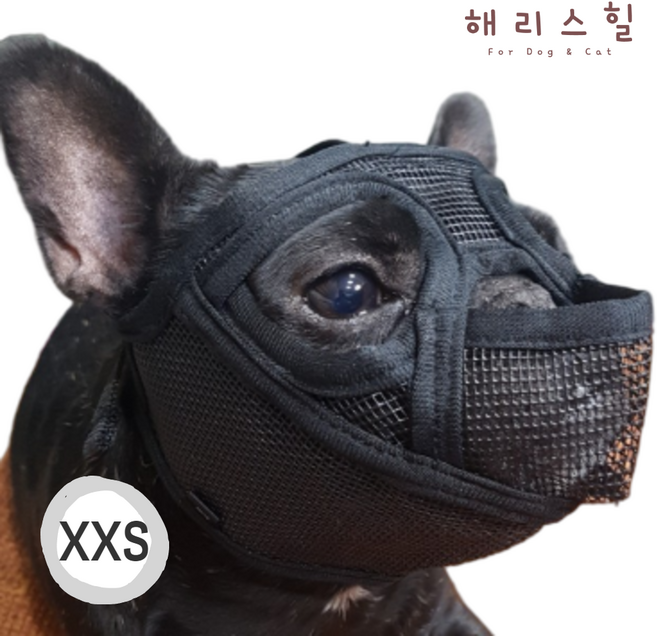 (XXS사이즈-돌출형) 해리스힐 단두종 입마개, 1개, B1블랙