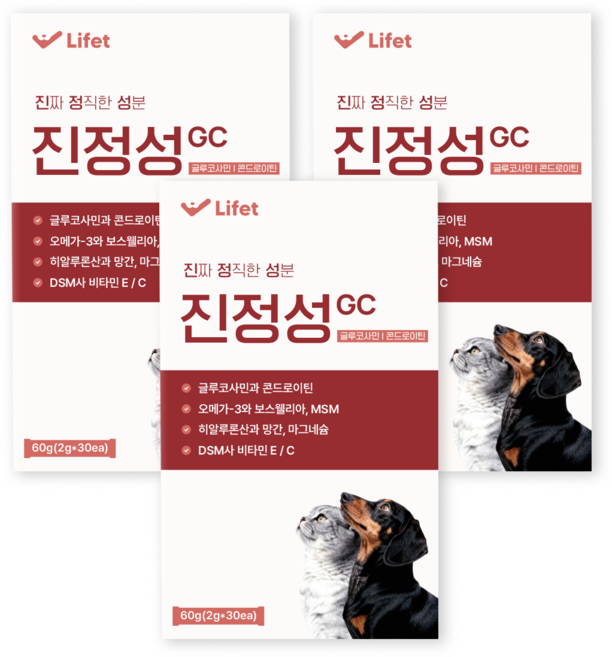 진정성 관절 영양제 강아지 고양이 글루코사민 콘드로이틴 슬개골 고관절 관절염 연골, 3개, 뼈/관절강화, 30회분