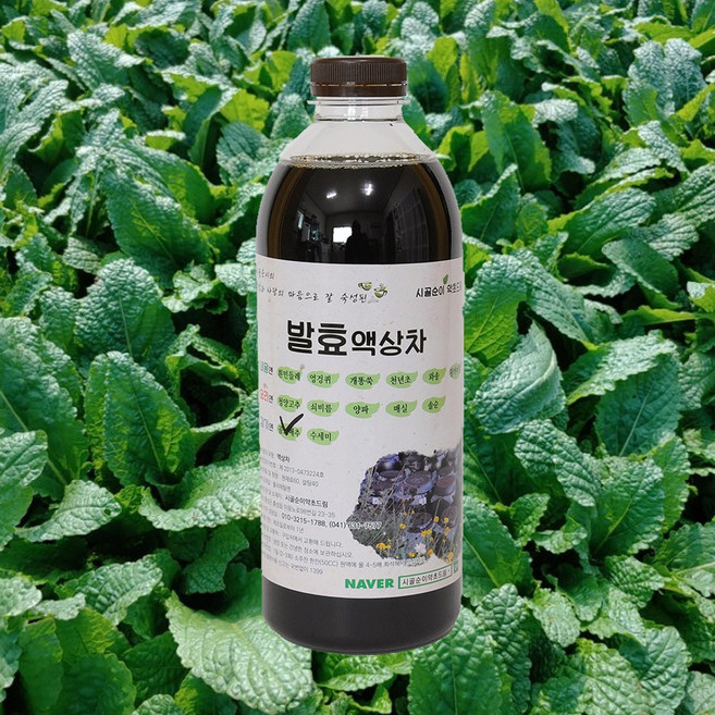 자연미가 곰보배추 효소액 1000mlx1병 /ss 자연숙성 발효액100%, 1000ml x1병, 1개
