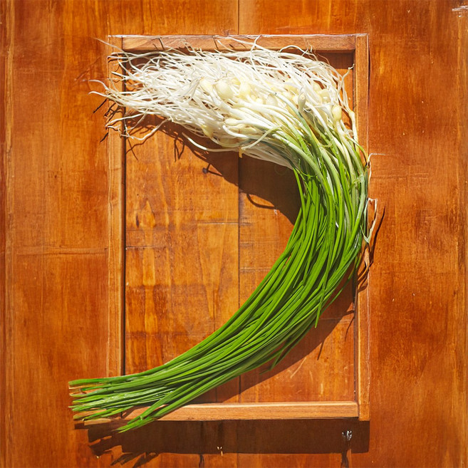 향긋한 세척 달래 수확 봄나물, 1박스, 300g