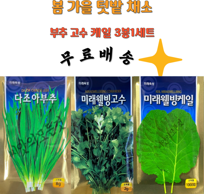 부추씨앗 고수씨앗 케일종자 3봉1세트 씨앗의모든것 가을 봄씨앗, 3개