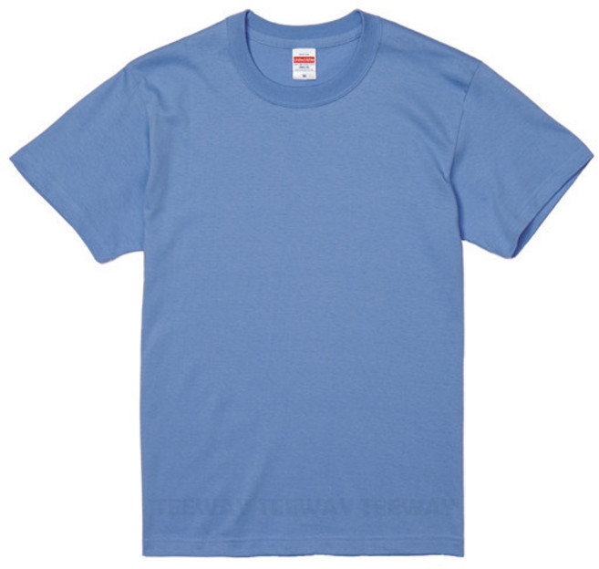 Teeway x 日本United Athle 頂級柔棉5.6oz 男短袖素Tee