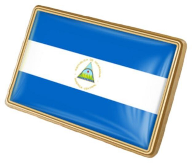 VmCOAT 코트du 국기 직사각형 핀 배지 국제 여행 브로치 금속 합금 기념품 모자 의류 백팩용 메탈 레진