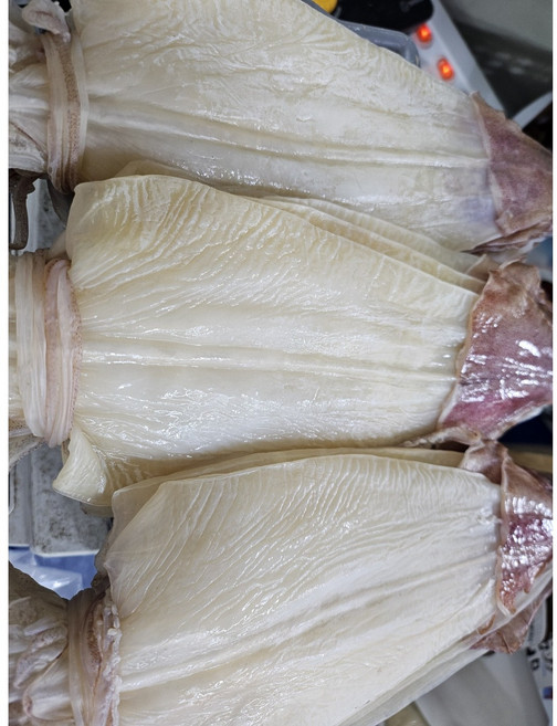 [웅이네] 한치 큰사이즈 10마리 반건조 우윳빛 부드러운 AAA급, 1개, 왕왕특대(800g이상)