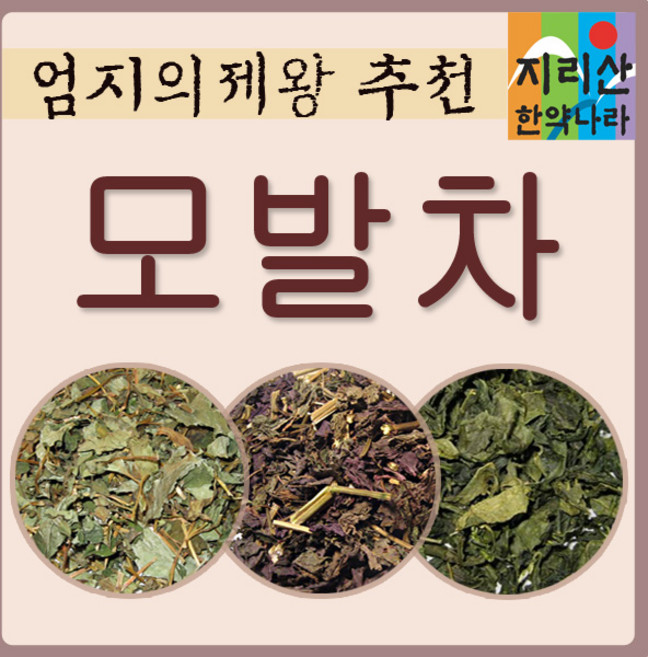 지리산한약나라 발모차재료 600g 어성초 녹차 자소엽, 1세트