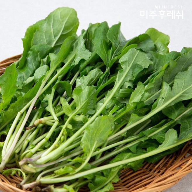 로케트루꼴라 샐러드 채소, 500g, 1개