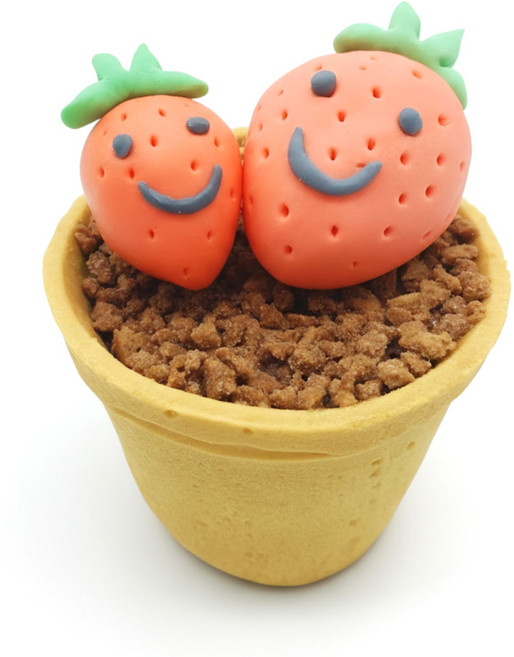 화분도 먹는 딸기 슈가클레이 화분컵케이크 만들기 1인 DIY 세트, 1개, 180g