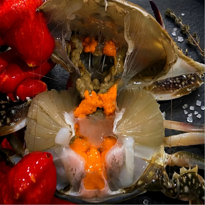 산지직속 국내산 봄 제철 서해안 알배기 활 암꽃게 조업, 1박스, 대 / 2kg (6~8미)