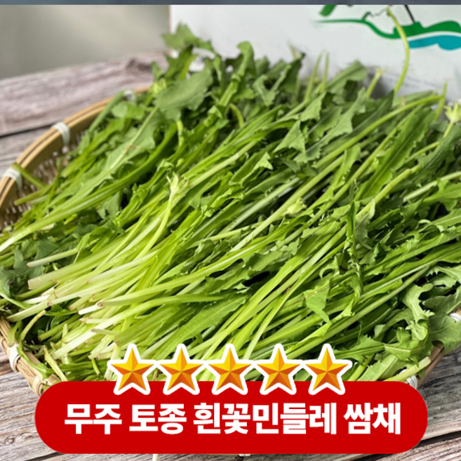 입안 가득 퍼지는 쌉쌀함 뒤에 신선하게 씹히는 아삭한 흰꽃민들레 쌈채, 1박스, 1kg