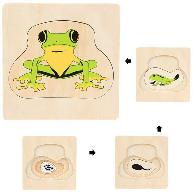 [키움하우스] 개구리성장퍼즐 원목완구, 1개