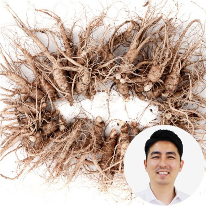 인삼수삼 오쿠홍삼용 작콩난발 750g 대명이네인삼, 1개