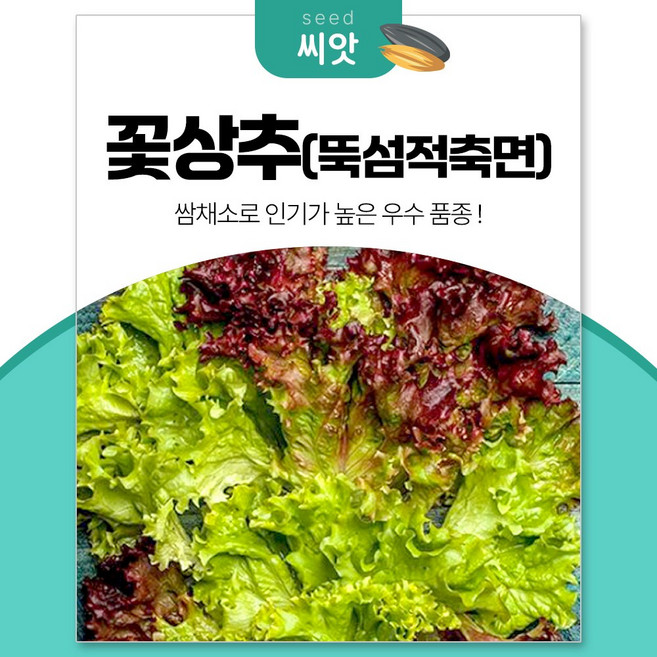 세경팜 적색이 진하고 우수한 꽃상추 적축면 씨앗 3000립, 1개