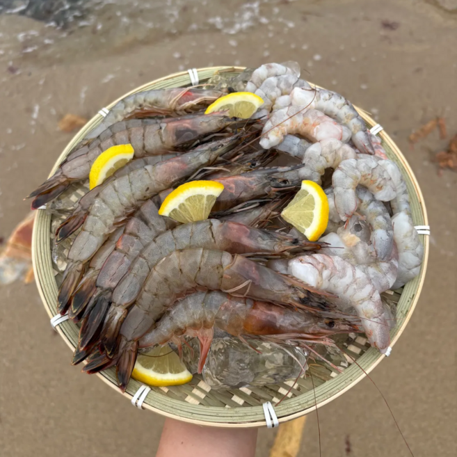 [하루50박스] 국내산 왕뚱땡이 새우 27미내외 흰다리새우, 1박스, 1kg