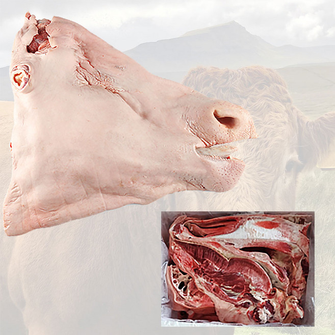 한우암소 발골 소머리정육 반마리 손질 냉동 (뼈포함), 1개