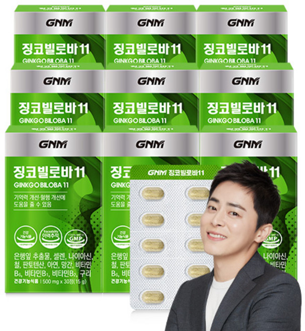 GNM 징코빌로바11 / 은행잎추출물 비타민B 아연 판토텐산, 30정, 9개