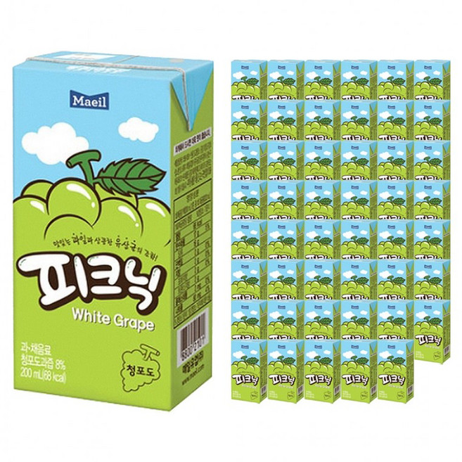 맛있는 매일 피크닉 청포도 200ml x 48팩 (24팩x2박스), 1ml