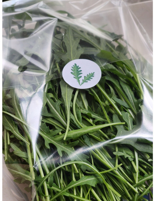 와일드 루꼴라 500kg 1kg, 1박스, 500g
