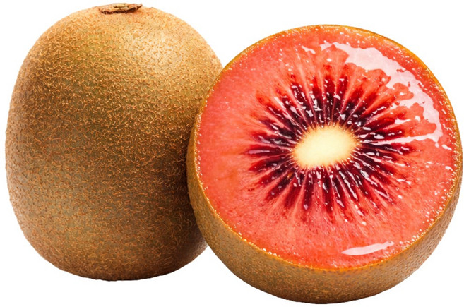 [유통마진제로] 제스프리 달콤촉촉 꿀벌BRIX 레드키위, 1세트, 5과