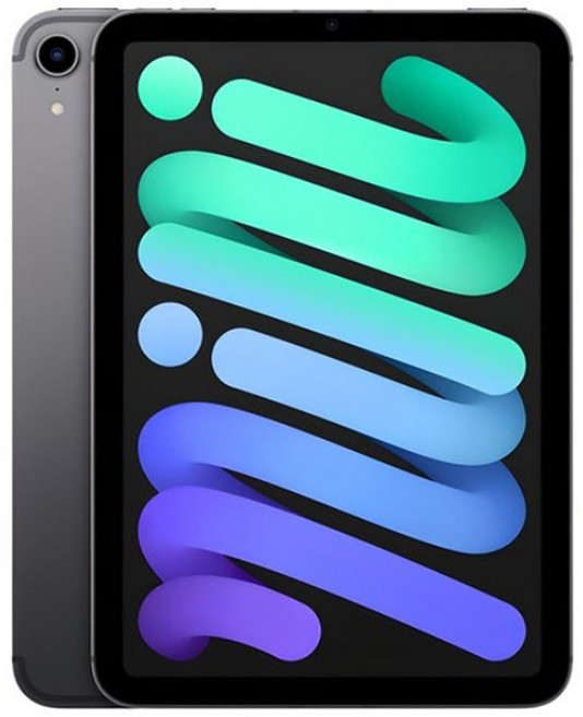 아이패드미니6 WIFI / LTE 태블릿, Wi-Fi, 64GB, 스페이스그레이