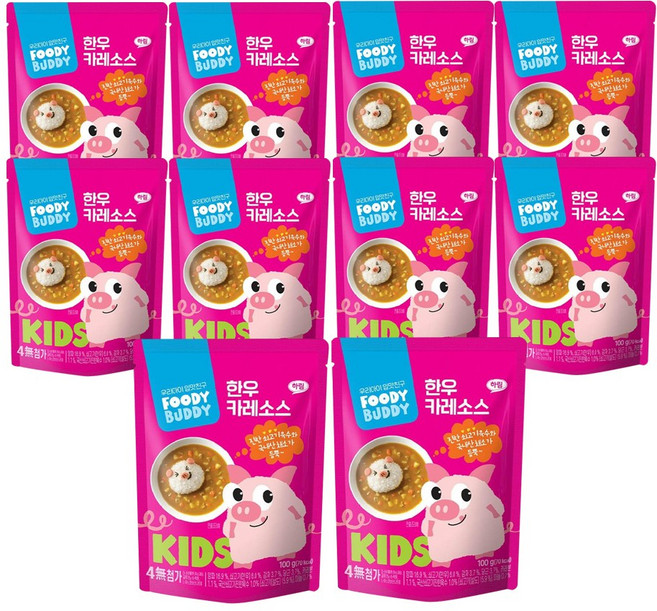 푸디버디 한우 카레 소스, 한우카레소스, 100g, 10개