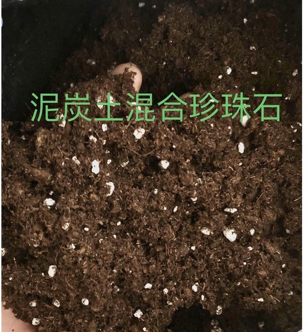 綠之源 泥炭土混合珍珠石 5公升花土, 詳見包裝, 詳見包裝