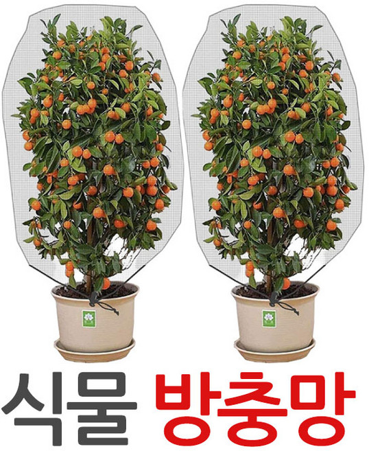 식물 방충망 벌레 해충 조류 차단 원예 그물 메쉬 망, 식물방충망-100x150, 1개