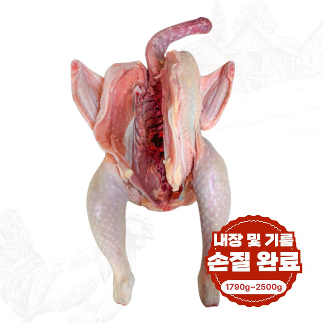 백숙용 토종닭 생닭 닭백숙 몸보신 영양식 닭도리탕 삼계탕 장닭, 2.1kg, 1개