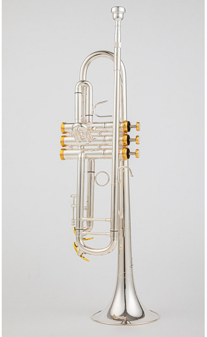 야마하 트럼펫 입문용트럼펫 고급 금관악기 트럼팻 YTR-2335S YTR-4335GS 골드 가방포함, 1개, 이색, YTR-8335GS