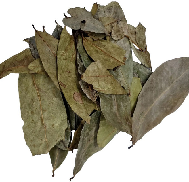 엄선한 그라비올라(8kg)-인도네시아, 8kg, 1개