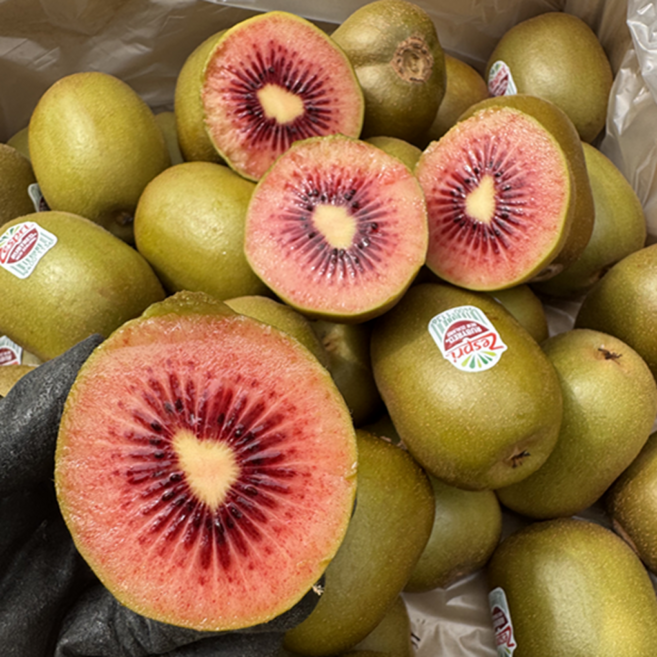 [단독특가] 고당도선별 특품 제스프리 레드키위, 1박스, 5과(대과)