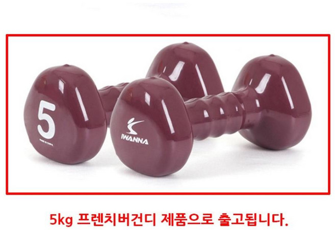 피트니스 짐볼운동 근력운동 팔근육강화 삼각아령5kg 홈짐, 1개