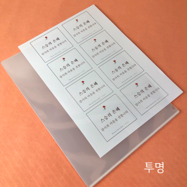 문구로드 A4 맑은 고투명 홀더 L자화일 5컬러, 100개, 고투명연두
