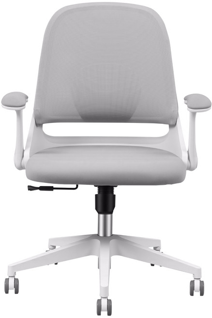 FlexiSpot 사무용의자 학생의자 품질인증 BIFMA SGS 공부의자 메쉬의자 OC5, 그레이