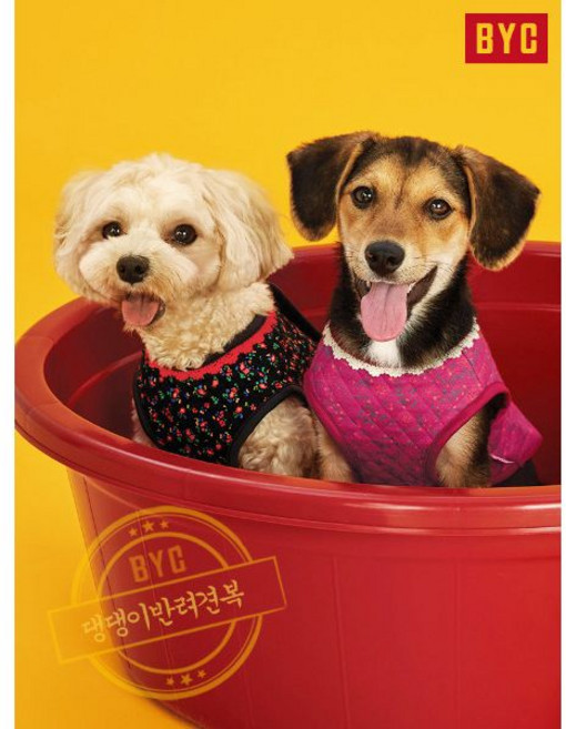 BYC 반려견용 개리야스 강아지 김장조끼 ODA0005 852047